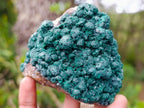 Natural Ball Malachite and Drusy Quartz on Dolomite Specimens x 3 From Mindingi Mine, Kambove, Congo - Toprock Gemstones and Minerals 