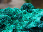 Natural Large Cabinet Silky Malachite Specimen x 1 From Kasompe, Congo - Toprock Gemstones and Minerals 