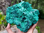 Natural Large Cabinet Silky Malachite Specimen x 1 From Kasompe, Congo - Toprock Gemstones and Minerals 