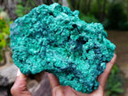 Natural Large Cabinet Silky Malachite Specimen x 1 From Kasompe, Congo - Toprock Gemstones and Minerals 