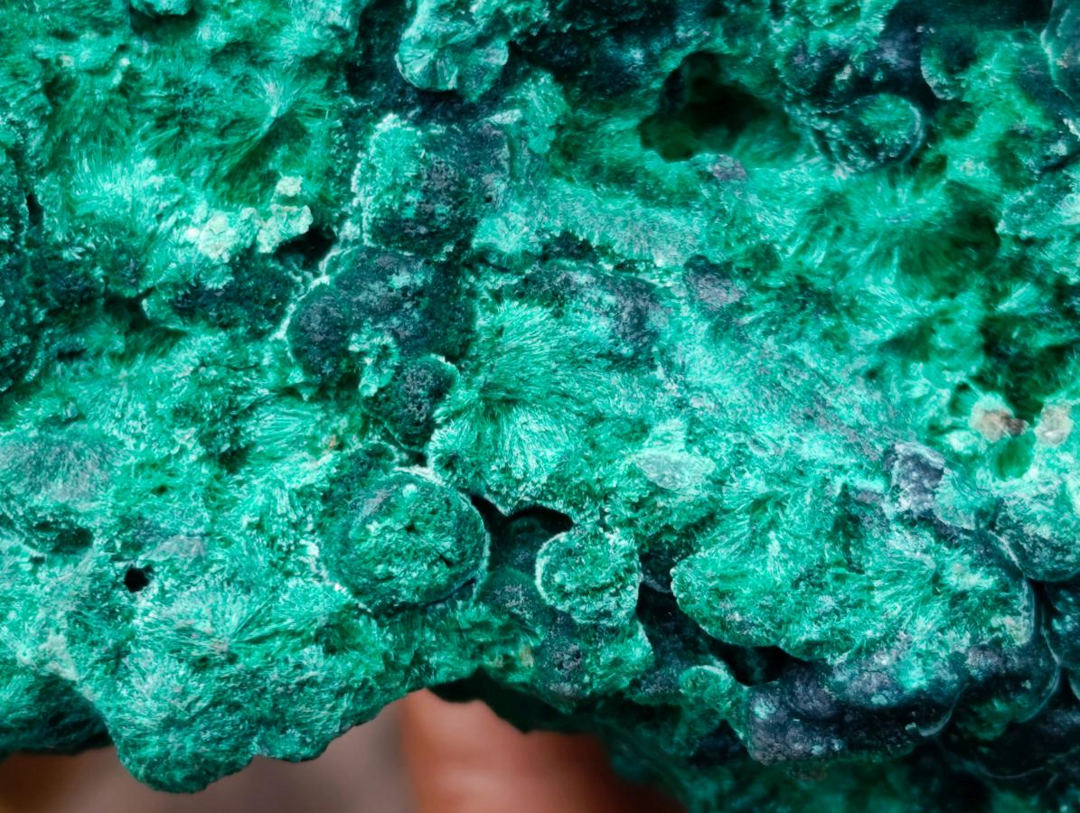 Natural Large Cabinet Silky Malachite Specimen x 1 From Kasompe, Congo - Toprock Gemstones and Minerals 