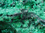 Natural Large Cabinet Silky Malachite Specimen x 1 From Kasompe, Congo - Toprock Gemstones and Minerals 