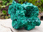 Natural Large Cabinet Silky Malachite Specimen x 1 From Kasompe, Congo - Toprock Gemstones and Minerals 