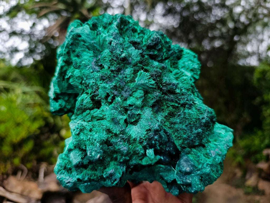 Natural Large Cabinet Silky Malachite Specimen x 1 From Kasompe, Congo - Toprock Gemstones and Minerals 