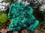 Natural Large Cabinet Silky Malachite Specimen x 1 From Kasompe, Congo - Toprock Gemstones and Minerals 