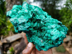 Natural Large Cabinet Silky Malachite Specimen x 1 From Kasompe, Congo - Toprock Gemstones and Minerals 