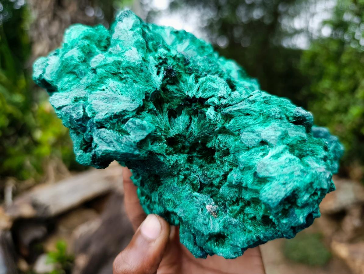 Natural Large Cabinet Silky Malachite Specimen x 1 From Kasompe, Congo - Toprock Gemstones and Minerals 