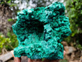 Natural Large Cabinet Silky Malachite Specimen x 1 From Kasompe, Congo - Toprock Gemstones and Minerals 