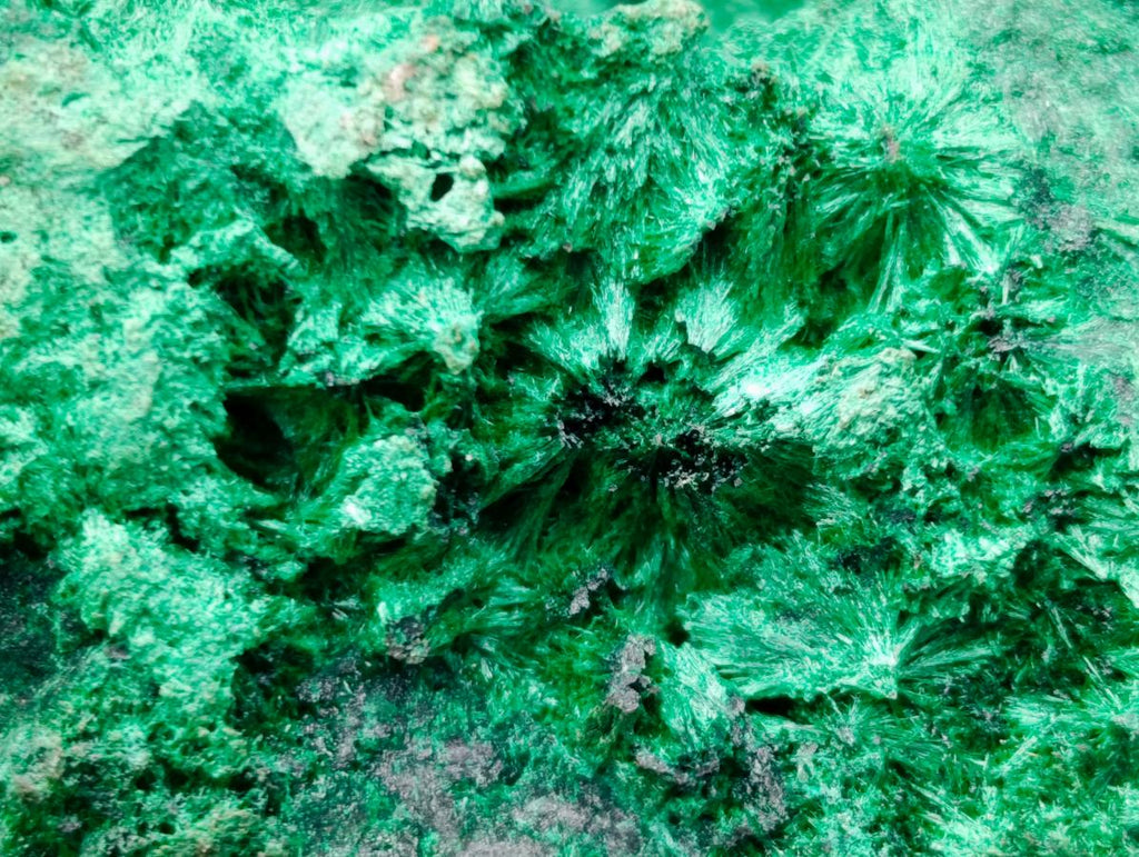 Natural Large Cabinet Silky Malachite Specimen x 1 From Kasompe, Congo - Toprock Gemstones and Minerals 