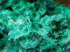 Natural Large Cabinet Silky Malachite Specimen x 1 From Kasompe, Congo - Toprock Gemstones and Minerals 