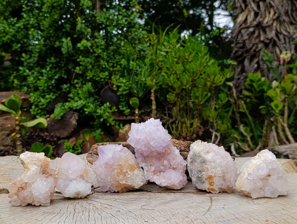 Natural Cactus Flower Spirit Amethyst Clusters x 6 From South Africa - Toprock Gemstones and Minerals 