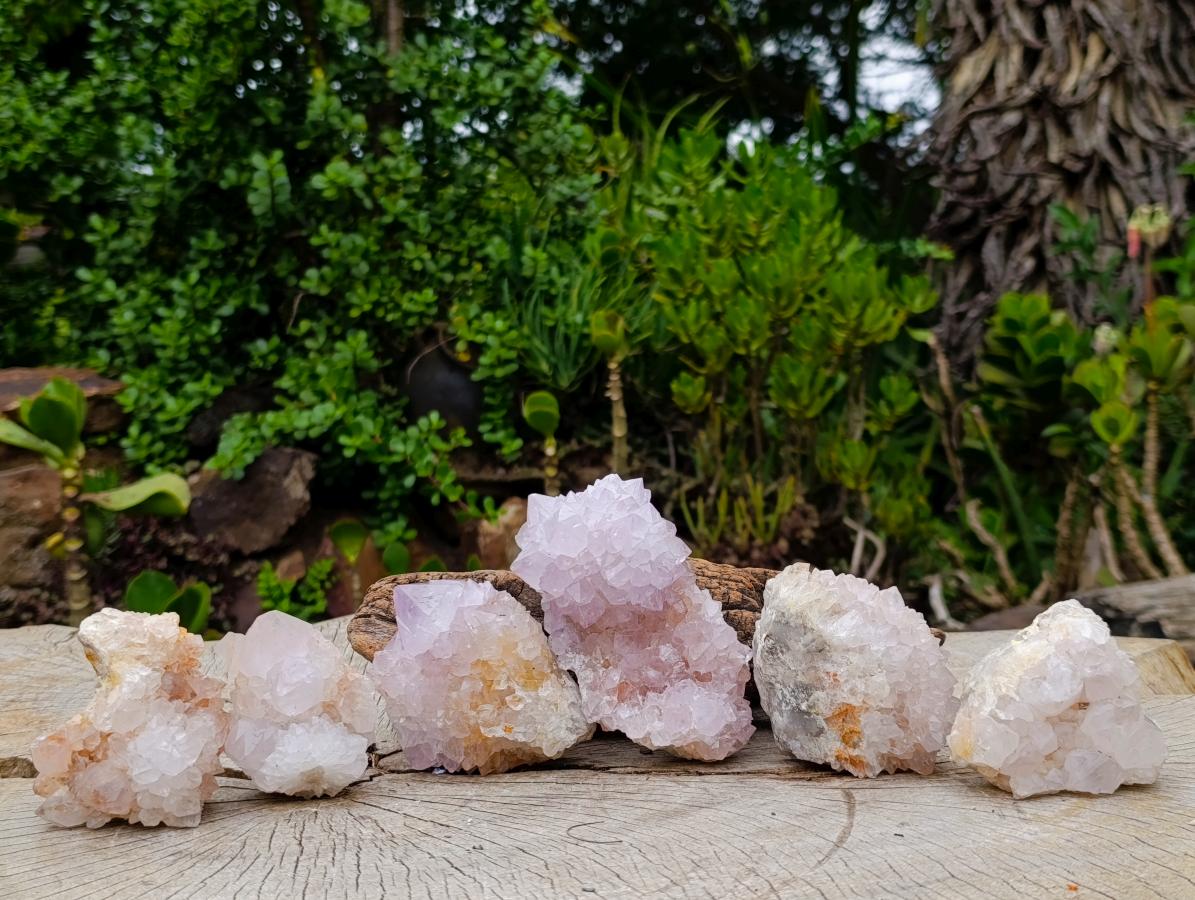 Natural Cactus Flower Spirit Amethyst Clusters x 6 From South Africa - Toprock Gemstones and Minerals 