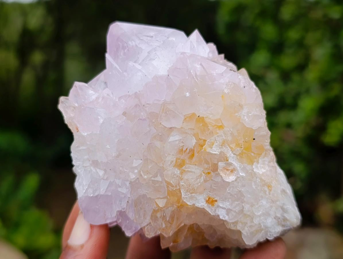 Natural Cactus Flower Spirit Amethyst Clusters x 6 From South Africa - Toprock Gemstones and Minerals 