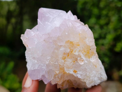 Natural Cactus Flower Spirit Amethyst Clusters x 6 From South Africa - Toprock Gemstones and Minerals 