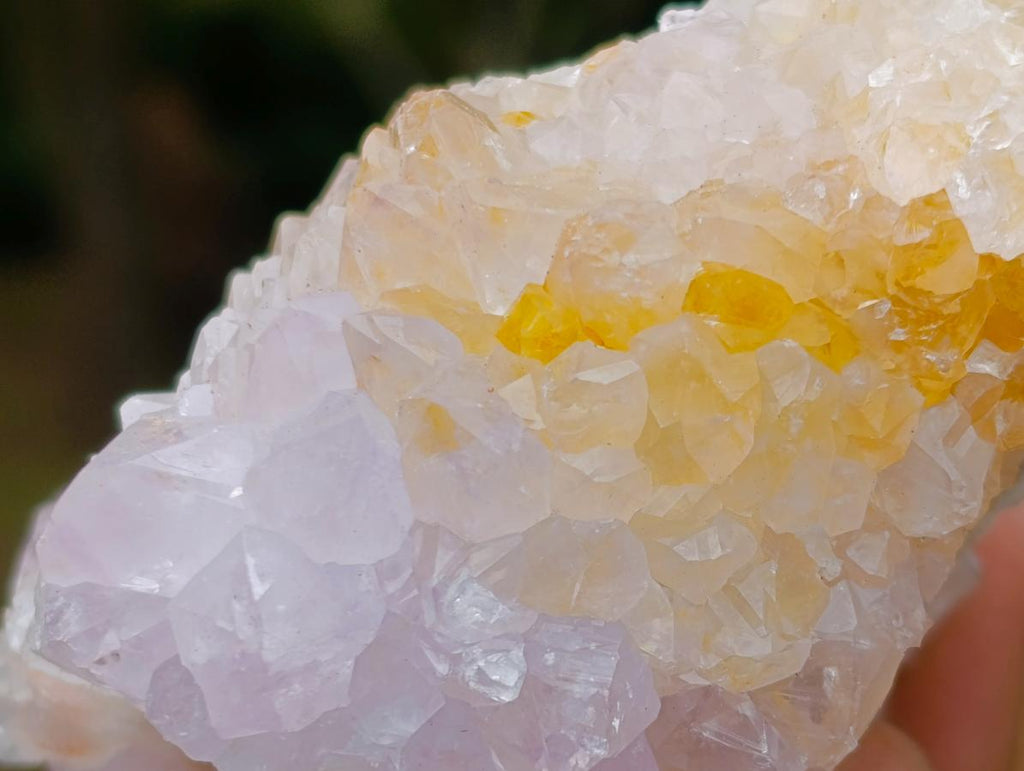 Natural Cactus Flower Spirit Amethyst Clusters x 6 From South Africa - Toprock Gemstones and Minerals 