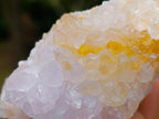 Natural Cactus Flower Spirit Amethyst Clusters x 6 From South Africa - Toprock Gemstones and Minerals 
