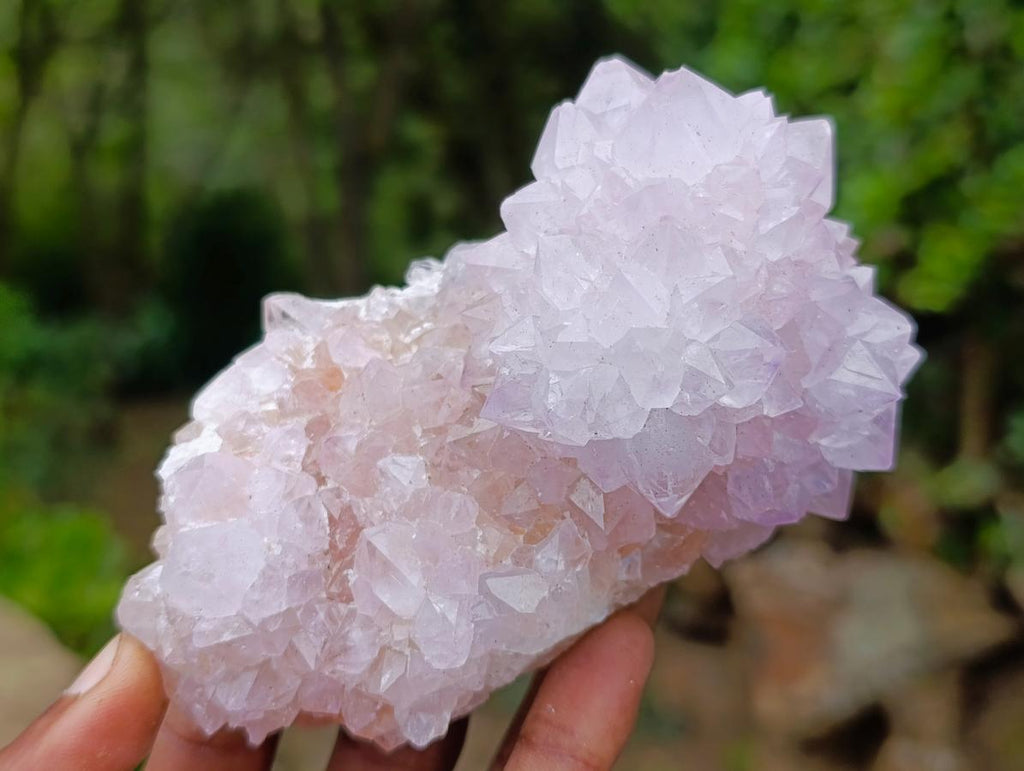 Natural Cactus Flower Spirit Amethyst Clusters x 6 From South Africa - Toprock Gemstones and Minerals 