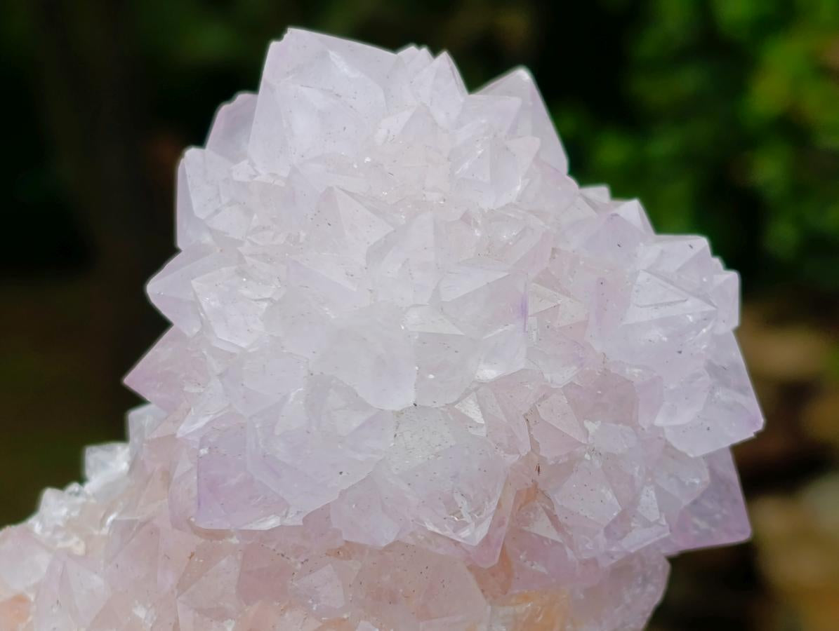Natural Cactus Flower Spirit Amethyst Clusters x 6 From South Africa - Toprock Gemstones and Minerals 