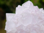 Natural Cactus Flower Spirit Amethyst Clusters x 6 From South Africa - Toprock Gemstones and Minerals 