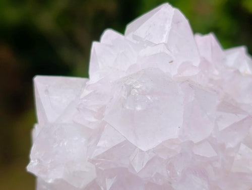 Natural Cactus Flower Spirit Amethyst Clusters x 6 From South Africa - Toprock Gemstones and Minerals 