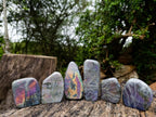 Polished Rare Purple Sunset Flash Labradorite Standing Display Pieces x 6 From Madagascar - Toprock Gemstones and Minerals 
