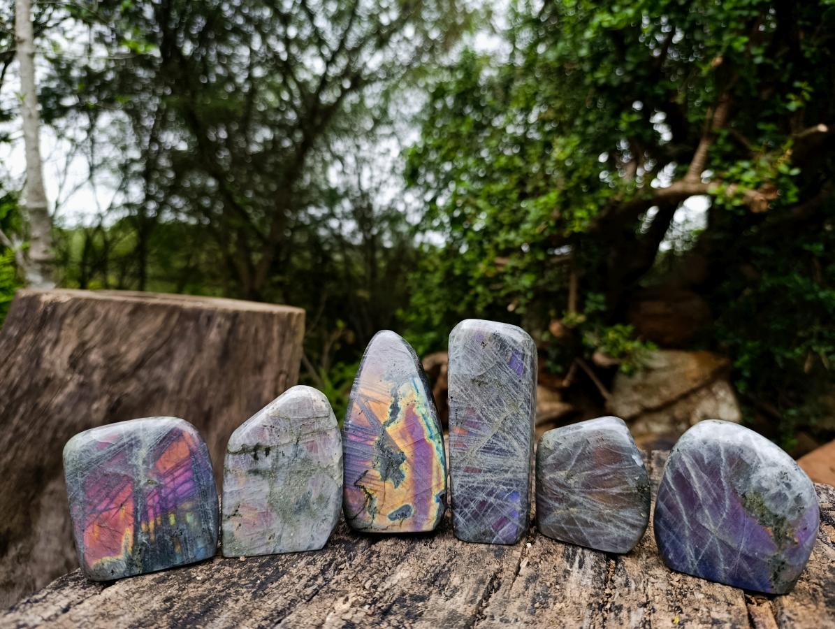 Polished Rare Purple Sunset Flash Labradorite Standing Display Pieces x 6 From Madagascar - Toprock Gemstones and Minerals 