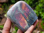 Polished Rare Purple Sunset Flash Labradorite Standing Display Pieces x 6 From Madagascar - Toprock Gemstones and Minerals 