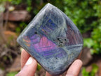 Polished Rare Purple Sunset Flash Labradorite Standing Display Pieces x 6 From Madagascar - Toprock Gemstones and Minerals 