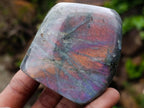 Polished Rare Purple Sunset Flash Labradorite Standing Display Pieces x 6 From Madagascar - Toprock Gemstones and Minerals 
