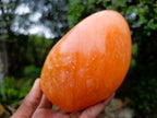 Polished Orange Twist Calcite Standing Free Forms x 2 From Maevantanana, Madagascar - Toprock Gemstones and Minerals 