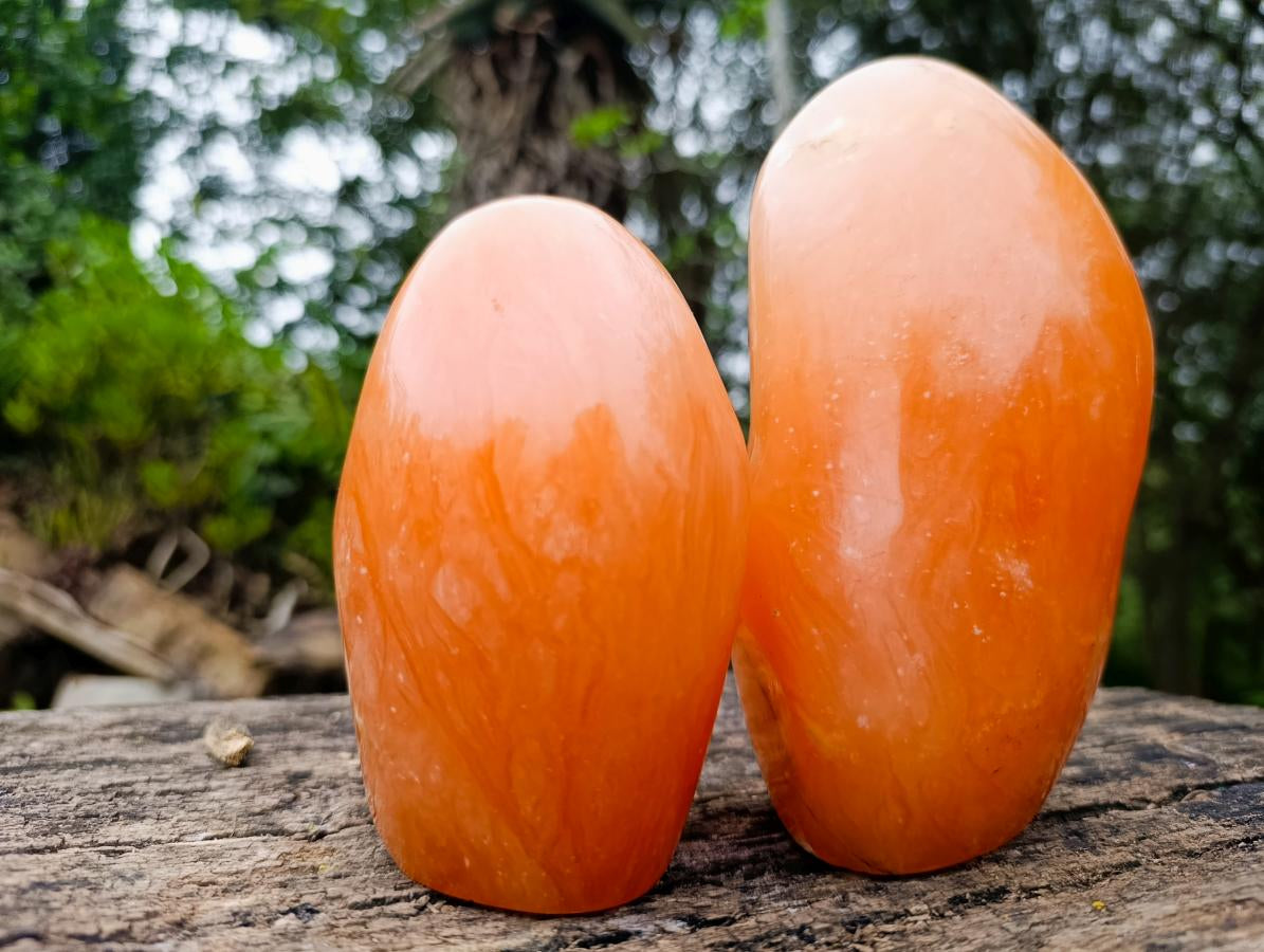 Polished Orange Twist Calcite Standing Free Forms x 2 From Maevantanana, Madagascar - Toprock Gemstones and Minerals 