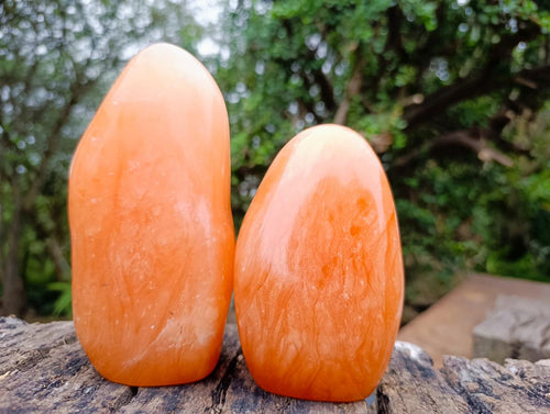 Polished Orange Twist Calcite Standing Free Forms x 2 From Maevantanana, Madagascar - Toprock Gemstones and Minerals 