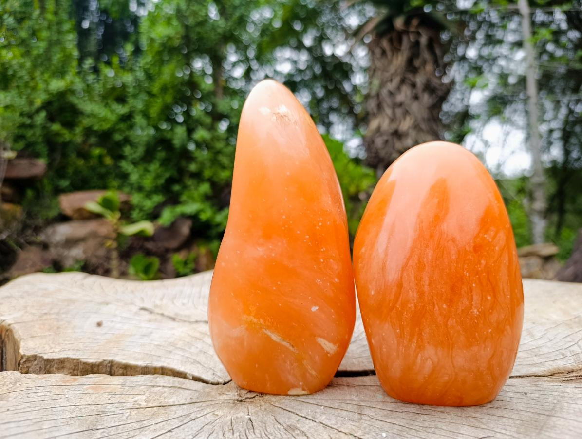 Polished Orange Twist Calcite Standing Free Forms x 2 From Maevantanana, Madagascar - Toprock Gemstones and Minerals 
