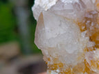 Natural Fairy Golden Limonite Spirit Quartz Crystals x 6 From Boekenhouthoek, South Africa - Toprock Gemstones and Minerals 