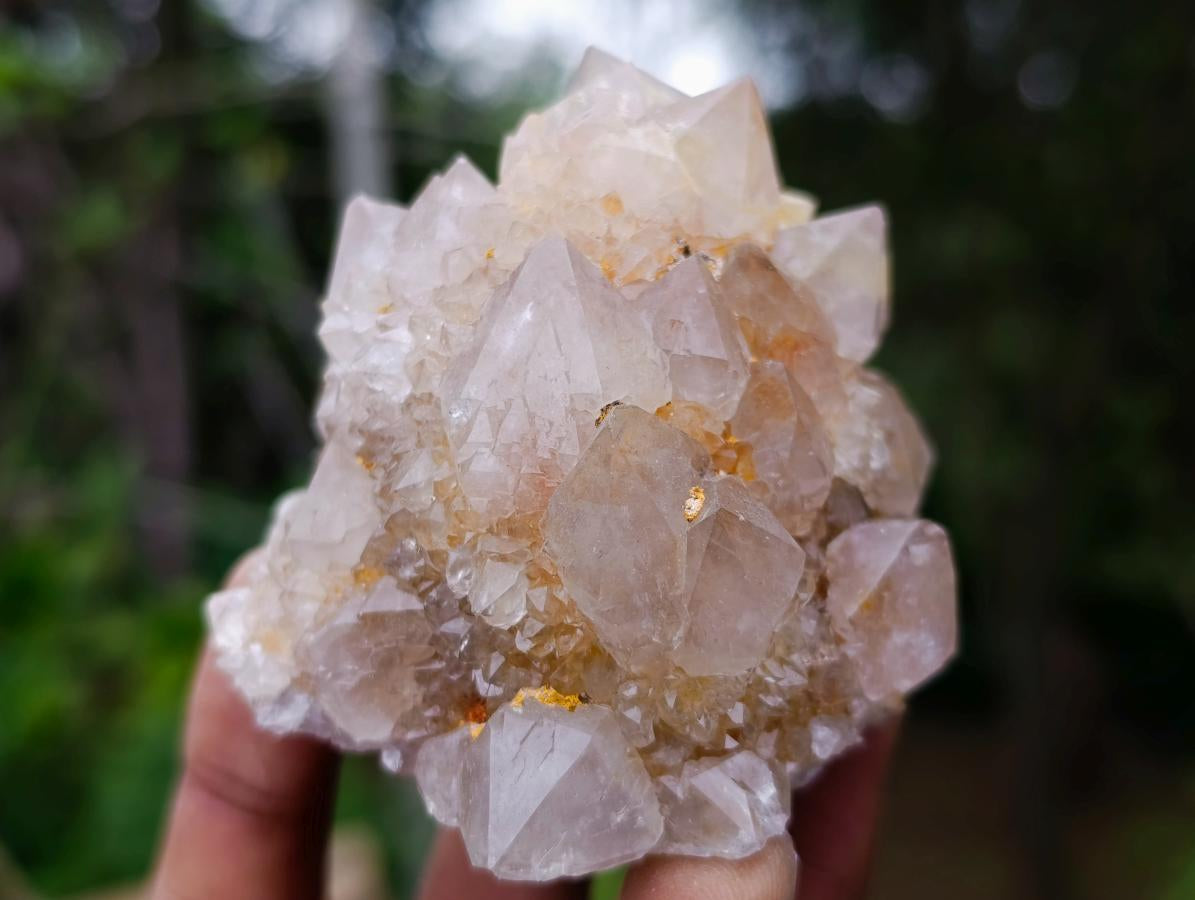 Natural Fairy Golden Limonite Spirit Quartz Crystals x 6 From Boekenhouthoek, South Africa - Toprock Gemstones and Minerals 
