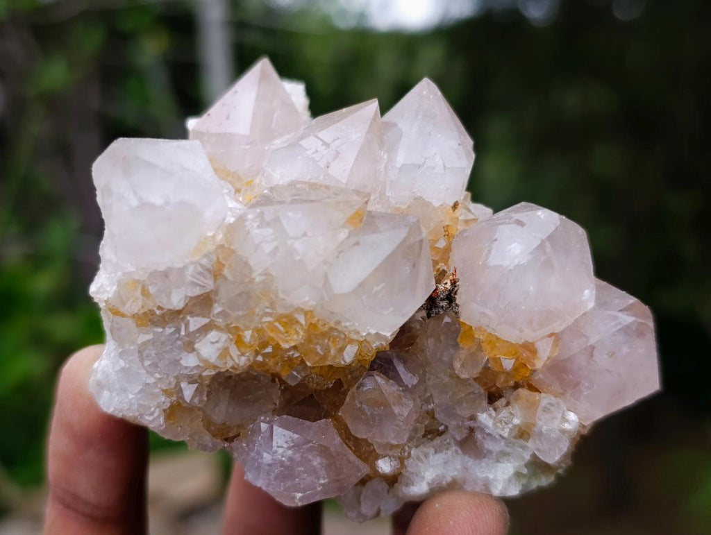 Natural Fairy Golden Limonite Spirit Quartz Crystals x 6 From Boekenhouthoek, South Africa - Toprock Gemstones and Minerals 