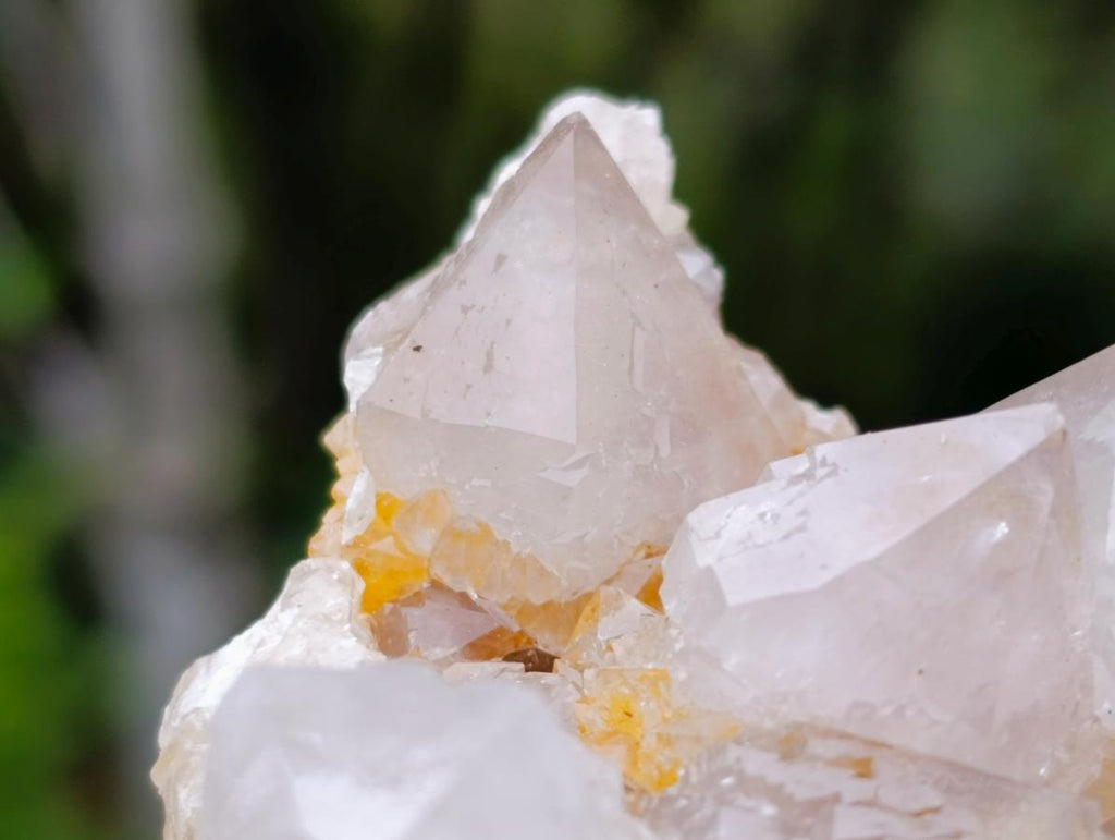 Natural Fairy Golden Limonite Spirit Quartz Crystals x 6 From Boekenhouthoek, South Africa - Toprock Gemstones and Minerals 