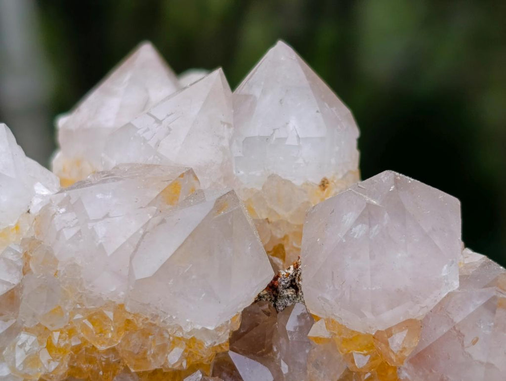 Natural Fairy Golden Limonite Spirit Quartz Crystals x 6 From Boekenhouthoek, South Africa - Toprock Gemstones and Minerals 