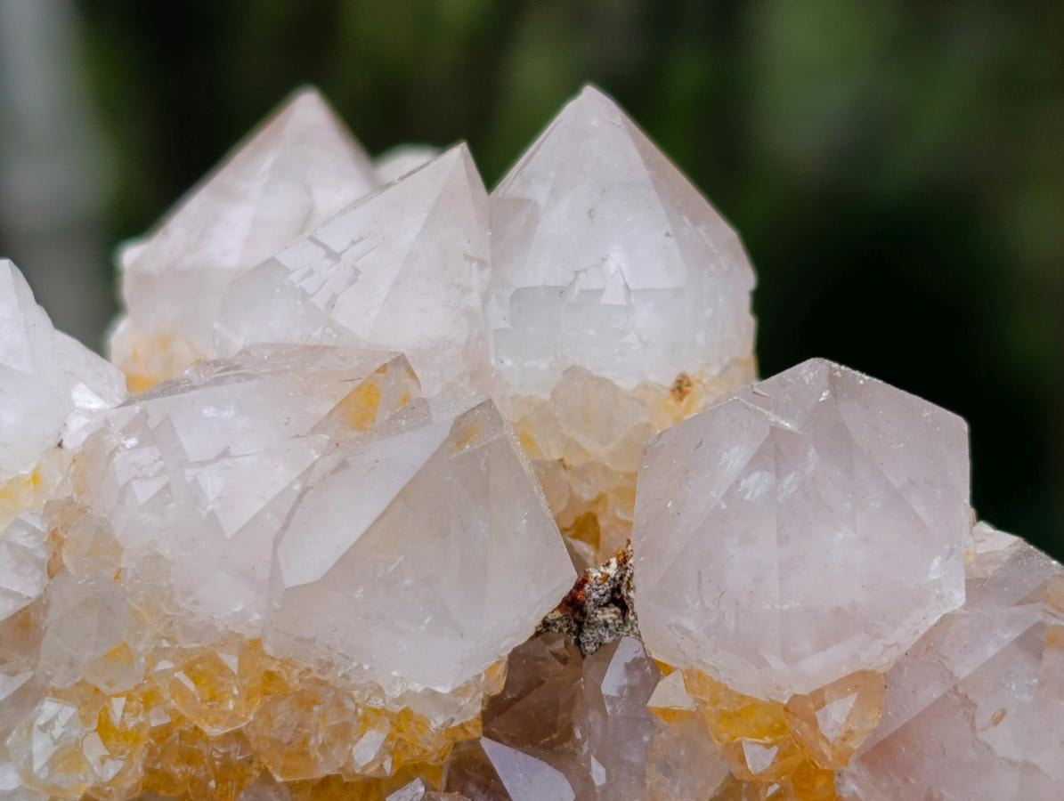 Natural Fairy Golden Limonite Spirit Quartz Crystals x 6 From Boekenhouthoek, South Africa - Toprock Gemstones and Minerals 