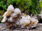 Natural Fairy Golden Limonite Spirit Quartz Crystals x 6 From Boekenhouthoek, South Africa - Toprock Gemstones and Minerals 