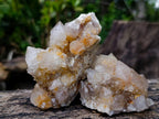 Natural Fairy Golden Limonite Spirit Quartz Crystals x 6 From Boekenhouthoek, South Africa - Toprock Gemstones and Minerals 