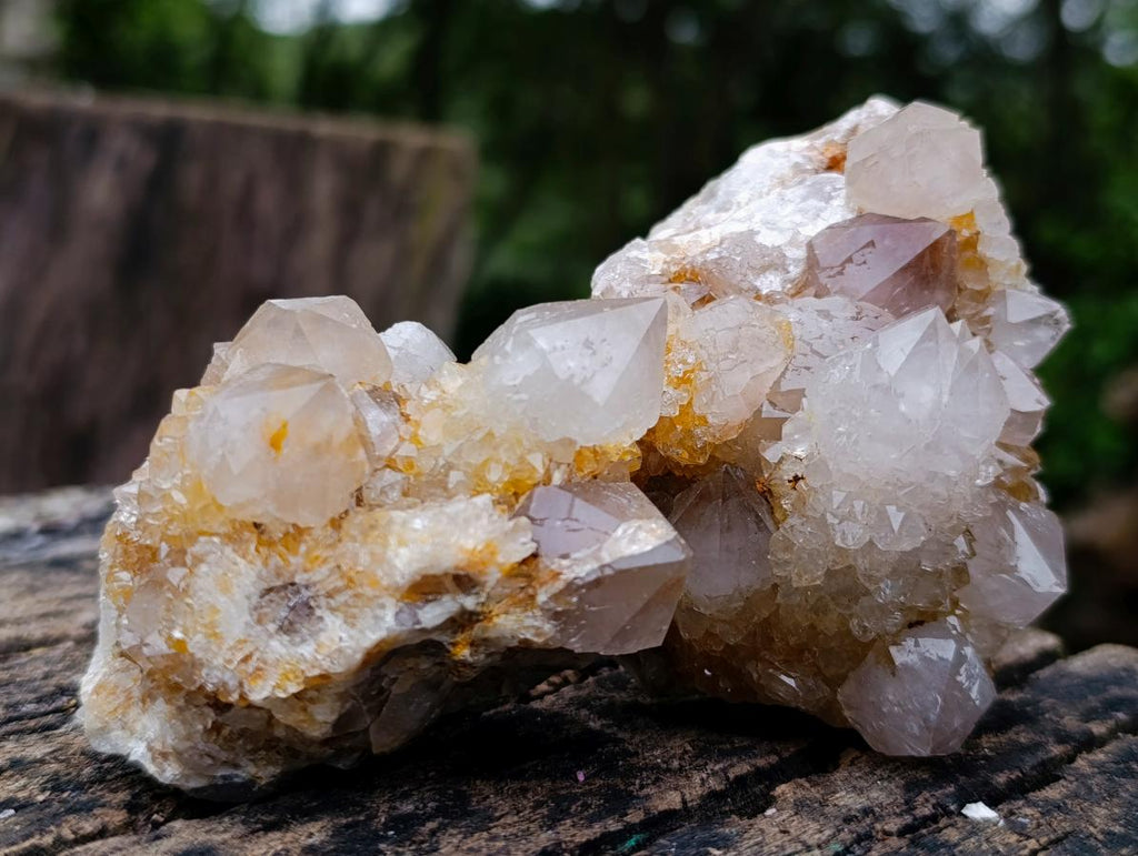 Natural Fairy Golden Limonite Spirit Quartz Crystals x 6 From Boekenhouthoek, South Africa - Toprock Gemstones and Minerals 