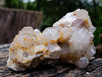 Natural Fairy Golden Limonite Spirit Quartz Crystals x 6 From Boekenhouthoek, South Africa - Toprock Gemstones and Minerals 
