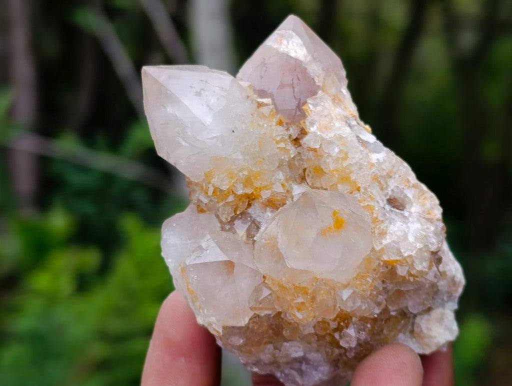 Natural Fairy Golden Limonite Spirit Quartz Crystals x 6 From Boekenhouthoek, South Africa - Toprock Gemstones and Minerals 