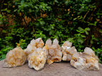 Natural Limonite Spirit Quartz Crystals x 6 From Boekenhouthoek, South Africa - Toprock Gemstones and Minerals 