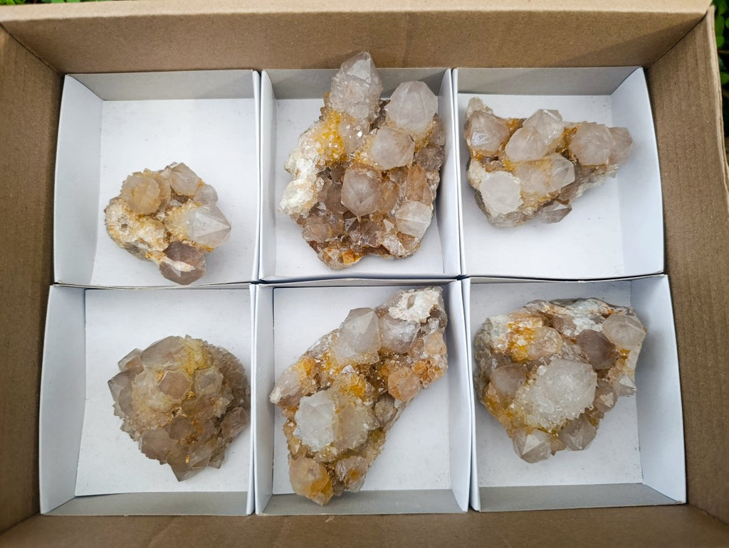 Natural Limonite Spirit Quartz Crystals x 6 From Boekenhouthoek, South Africa - Toprock Gemstones and Minerals 