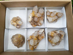 Natural Limonite Spirit Quartz Crystals x 6 From Boekenhouthoek, South Africa - Toprock Gemstones and Minerals 