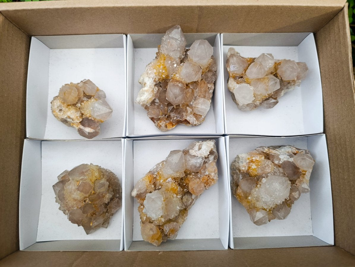 Natural Limonite Spirit Quartz Crystals x 6 From Boekenhouthoek, South Africa - Toprock Gemstones and Minerals 