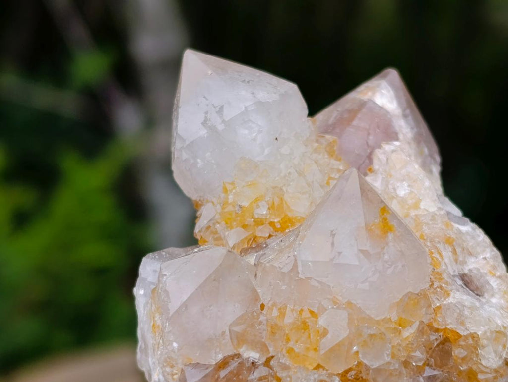 Natural Fairy Golden Limonite Spirit Quartz Crystals x 6 From Boekenhouthoek, South Africa - Toprock Gemstones and Minerals 