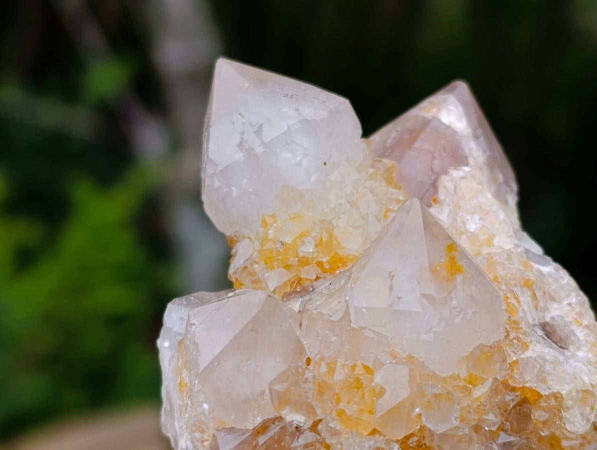 Natural Fairy Golden Limonite Spirit Quartz Crystals x 6 From Boekenhouthoek, South Africa - Toprock Gemstones and Minerals 